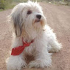 Meet your Posher, Marcela